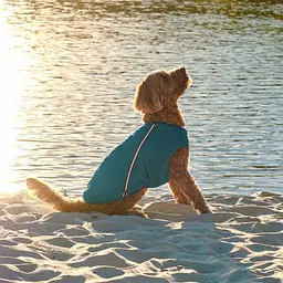 Жилет Pet Fashion E.Vest для собак, розмір L, морська хвиля - мініатюра 6