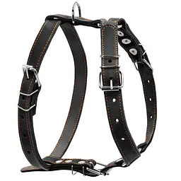 Шлея одинарна CoLLaR для середніх собак (4820082492724)