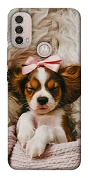 TPU чохол Demsky Sleepy spaniel для Motorola Moto E40