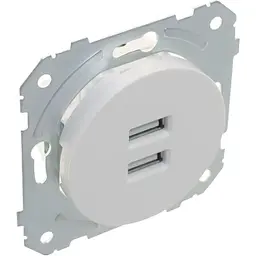 Розетка Brille біла WB-2USB wh (42-291)