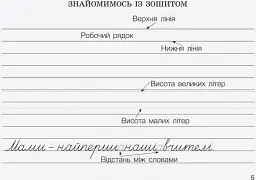 Вчимося писати в широку лінійку - Лариса Шевчук - мініатюра 6