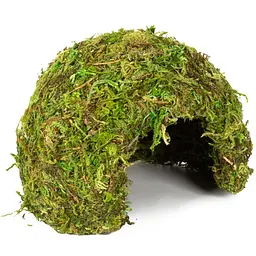 Схованка з моху Repti-Zoo Natural Mossy Dome S 11x10см ERS25S для тераріуму, рептилій і геконів, з живим мохом - мініатюра 4