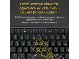 Клавіатура Ducky One 3 Mini Cherry MX Brown RGB UA USB Black (DKON2161ST-BUAPXCLAWSC1) - мініатюра 6