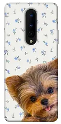 TPU чохол Demsky Cute Yorkie для OnePlus 8