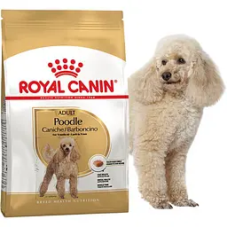 Сухий корм для собак породи пудель Royal Canin 500 г - мініатюра 2