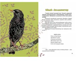 Вусохвості й лапокрилі. Читанка про тварин - Верховень В.М. (9789669359483) - мініатюра 4