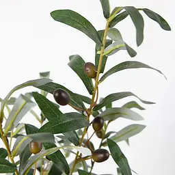 Штучна рослина Olive Tree 80 см (DW-20) - мініатюра 4