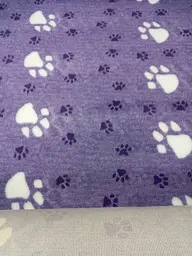 Килимок Jackson Textiles Big Paws violet 160х100 см (JT-021-1) - мініатюра 6