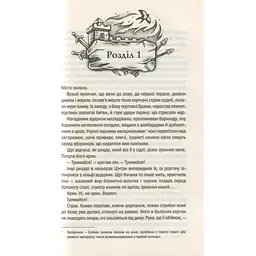 Книга Відьмак. Кров ельфів. Книга 3 - Анджей Сапковський КСД (9786171519152) - мініатюра 9
