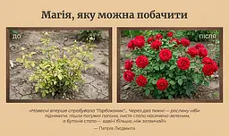 Кінський гній гранульований Горбоконик 2 л - мініатюра 3