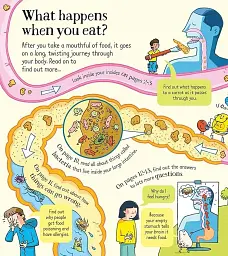 Look Inside. What Happens When You Eat - мініатюра 6