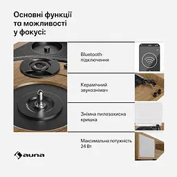 Програвач вінілу TT-Play 2x10W BT RCA-Out (10045082) - мініатюра 5