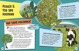 Енциклопедія юних розумників Ранок Допитливим сюди. ДОВКОЛАПИТАНЬ - Ненсі Дікман (НЕ1745007У) - мініатюра 10