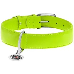 Нашийник для собак Waudog Glamour, шкіряний, з QR паспортом, 46-60х3,5 см, салатовий - мініатюра 2