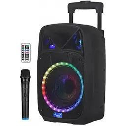 Портативна колонка RGB NDR-W1312 акумуляторна колонка мікрофон пульт Bluetooth: 5.0 12 Вт - мініатюра 2