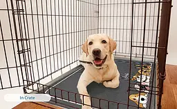 Літня охолодна підстилка для собак Derby Ice Silk Summer Pet Cooling Mat Dogs Smile 50х70 см - мініатюра 6