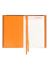 Щоденник А5 LEO Planner Amber недатований теракотовий (252771) - мініатюра 4