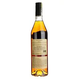 Арманьяк Delord Fine Armagnac, у подарунковій упаковці, 40%, 0,7 л - мініатюра 3