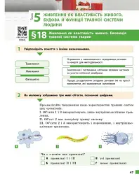 Біологія. 8 клас. Робочий зошит до підручника Ольги Тагліної - Ольга Тагліна - миниатюра 12