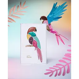 Набір для макіяжу Pupa Beauty Kits Parrot Bahia 14.8 r (8011607382002) - мініатюра 3