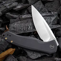 Ніж складаний Weknife Kitefin 2001G - мініатюра 3