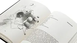 Кому повінь підвалиною - Любомир Медвідь | Апріорі, книга українською, нова, тверда - мініатюра 2