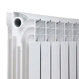 Радіатор біметалічний Thermo Alliance Bi-Ferrum 300/100 1,15 кг, Білий - мініатюра 8