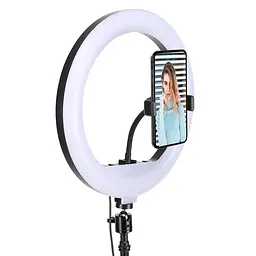 Тримач з кільцевим освітленням Bluetooth 12" YQ-320b light set (Kit1) 170cm Stand, USB Powered - мініатюра 2