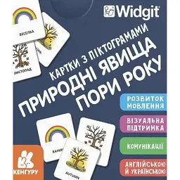 Картки з піктограмами. Природні явища. Пори року -