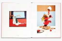 Flora Photographica: The Flower in Contemporary Photography - мініатюра 5