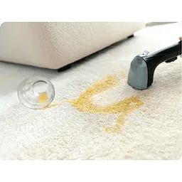 Пилосос миючий Rowenta Clean It Hot & Cold 1150 Вт чорно-золотий (IN7021F0) - мініатюра 16
