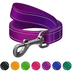 Повідок для собак WAUDOG Nylon Mono, світловідбивний M фіолетовий (52189)