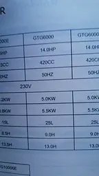 Генератор бензиновий 5.5 кВт GEOTEC GTG-6000 - мініатюра 4