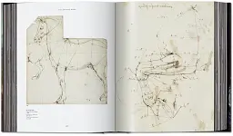 Leonardo. The Complete Paintings and Drawings - мініатюра 14