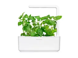 Змінний картридж Click & Grow Котяча м'ята 3 капсули (7465) - мініатюра 4