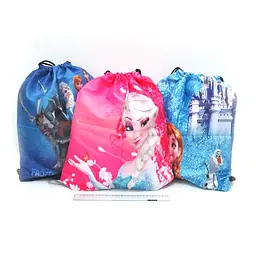 Сумка для змінного взуття 37х46 см мікс Frozen DSCN0436 736559