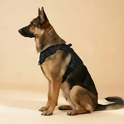 Шлейка для собак Best Friend, тактичний жилет із ручкою та системою MOLLE чорний, L - мініатюра 7