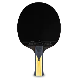 Ракетка для настільного тенісу Joola Carbon Pro (54195) - мініатюра 2