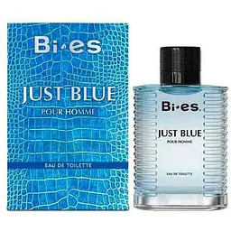 Туалетна вода для чоловіків BI-ES 100мл Just Blue Pour Homme