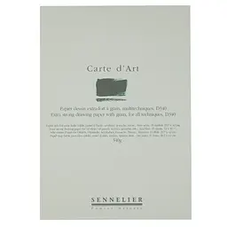 Альбом-склейка мультитехніка Sennelier Carte d'art, 15 аркушів, 340 г/м, 29,7x42 см