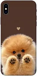 TPU чохол Demsky Spitz on the screen для Apple iPhone XS Max (6.5")