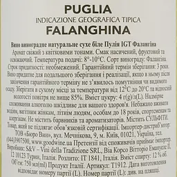 Вино 11.11.11 Falanghina Puglia IGT біле сухе 0.75 л - мініатюра 4