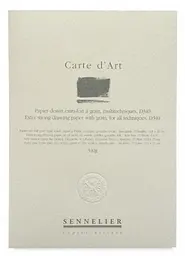 Альбом-склейка мультитехніка Sennelier Carte d'art, 15 аркушів, 340 г/м, 24х32 см - мініатюра 3