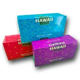 Серветка паперова косметична HAWAII одноразова двошарова у коробці 200 шт/уп. - мініатюра 2
