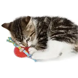 Іграшка для котів Petstages Колесо Kitty Chew Wheel - мініатюра 2