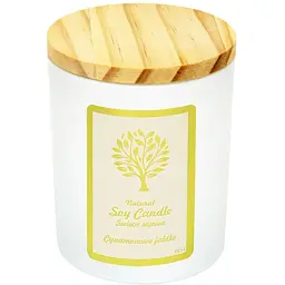 Свічка Aurora Natural Soy Candle яблуко з корицею 150 г