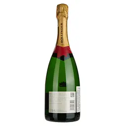 Шампанське Bollinger Special Cuvee, біле, брют, 12%, 0,75 л (49274) - мініатюра 3