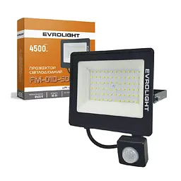 Прожектор EVROLIGHT FM-01D-50 50W 6400К - мініатюра 1