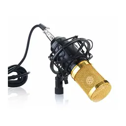 Мікрофон XPRO DM-800 студійний з підсилювачем (DM 800_832) - мініатюра 7