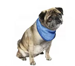 Охолоджувальна бандана для собак Nobby Cooling Bandana S 18-30 см 62224 - мініатюра 2